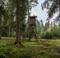 Jacht hoeden